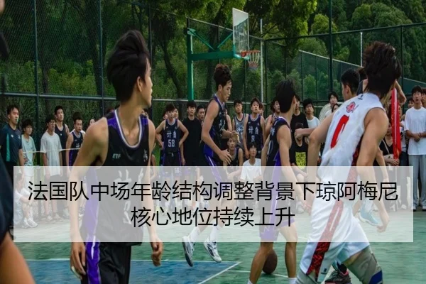 法国队中场年龄结构调整背景下琼阿梅尼核心地位持续上升 - kaiyun